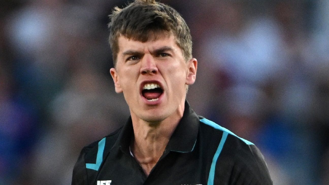 New Zealand add Sears as traveling reserve for T20 World Cup