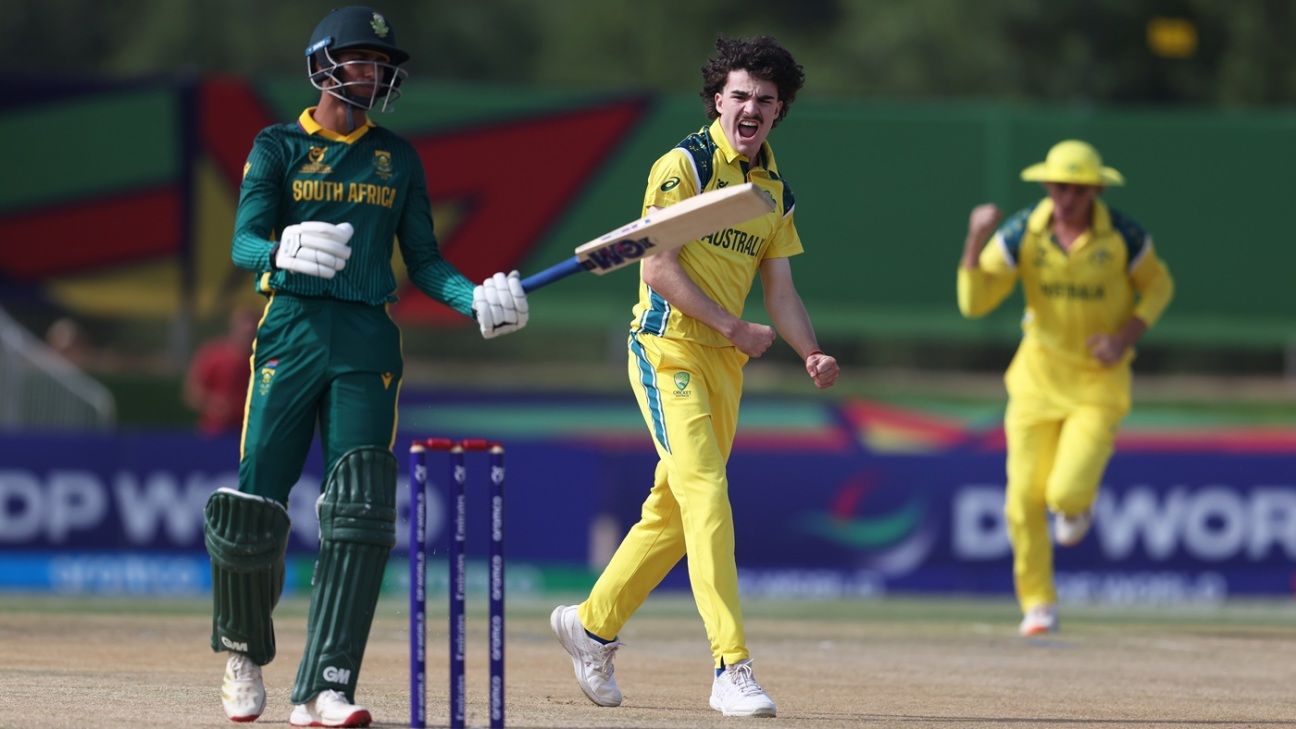 Bowlers, Hogan help Australia breeze past South Africa