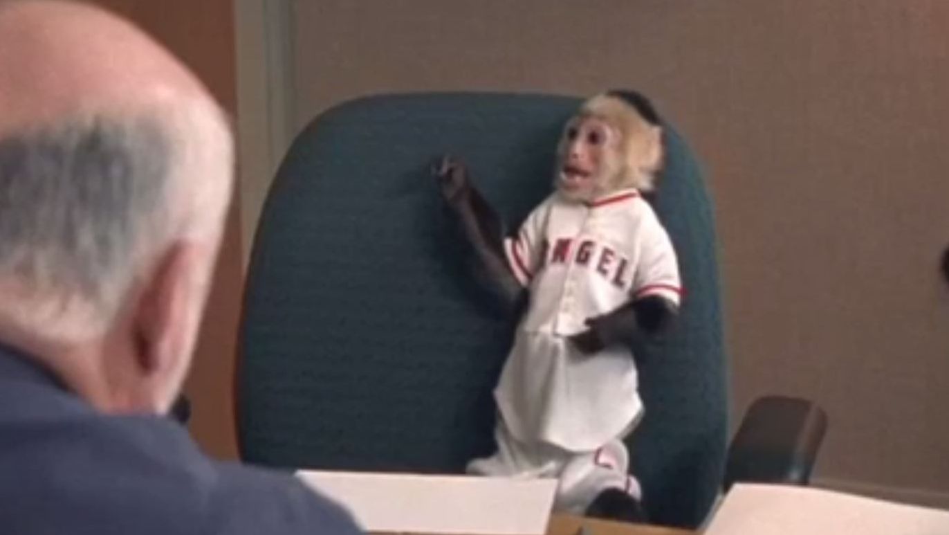 Who Will Rally for the Rally Monkey?, by The Rally Monkey