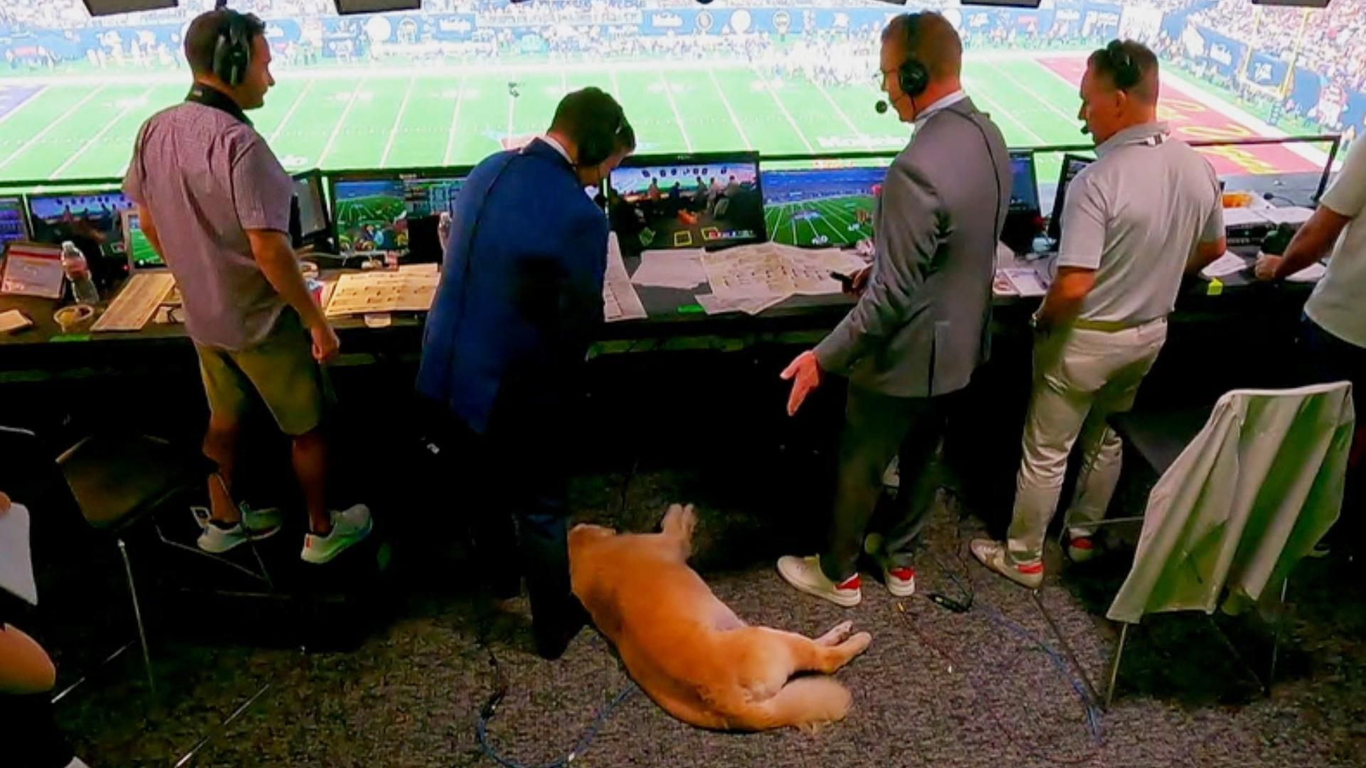 Kirk Herbstreit's dog sprawls out in broadcast booth - ESPN Video