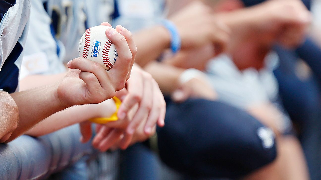 Richmond Spiders baseball players suspended for playing fantasy