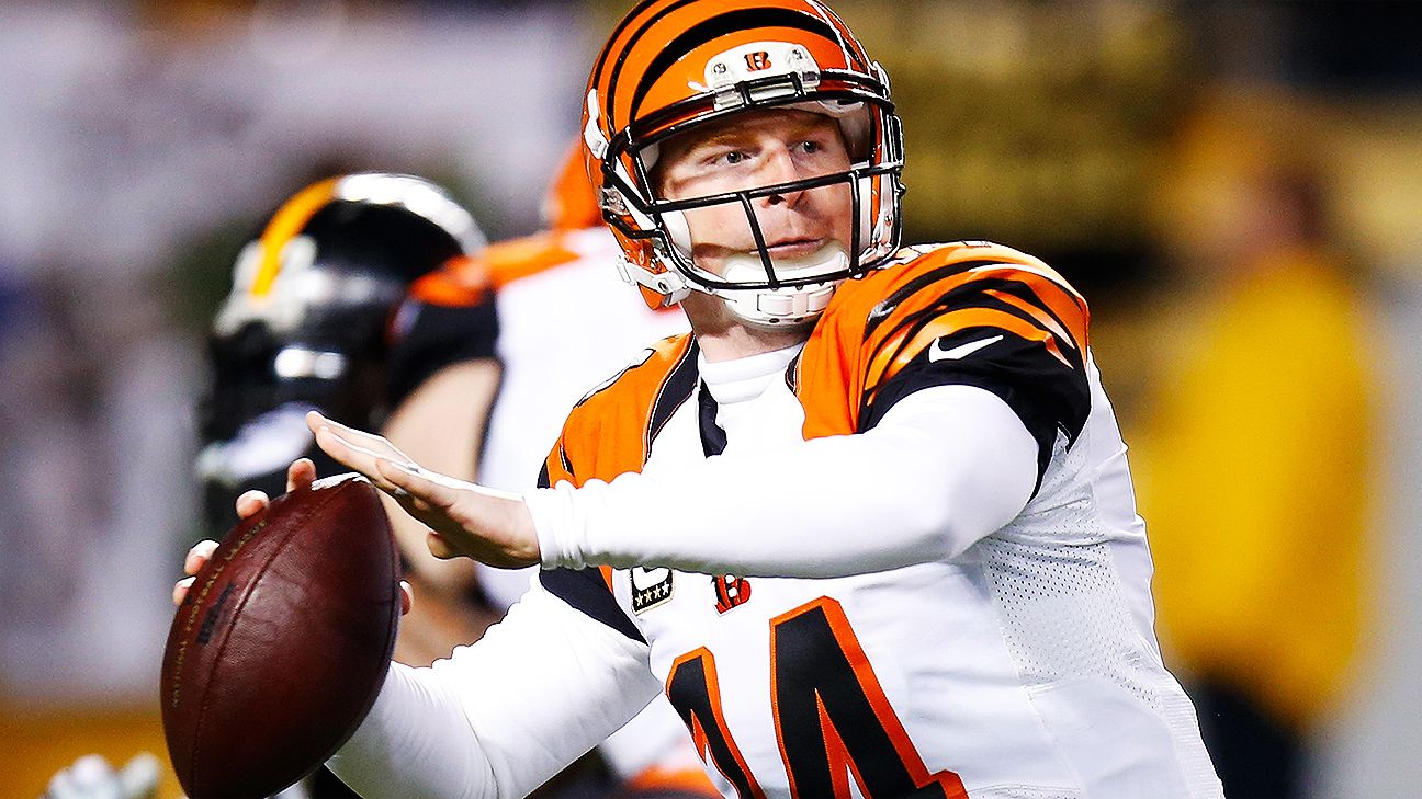 Refocused, NFL Week 17: Pittsburgh Steelers 16, Cincinnati Bengals