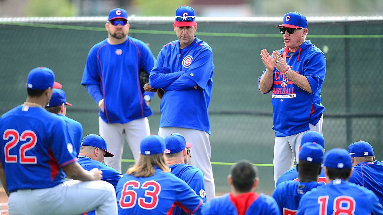 what-does-a-major-league-baseball-look-like-dna-of-sports