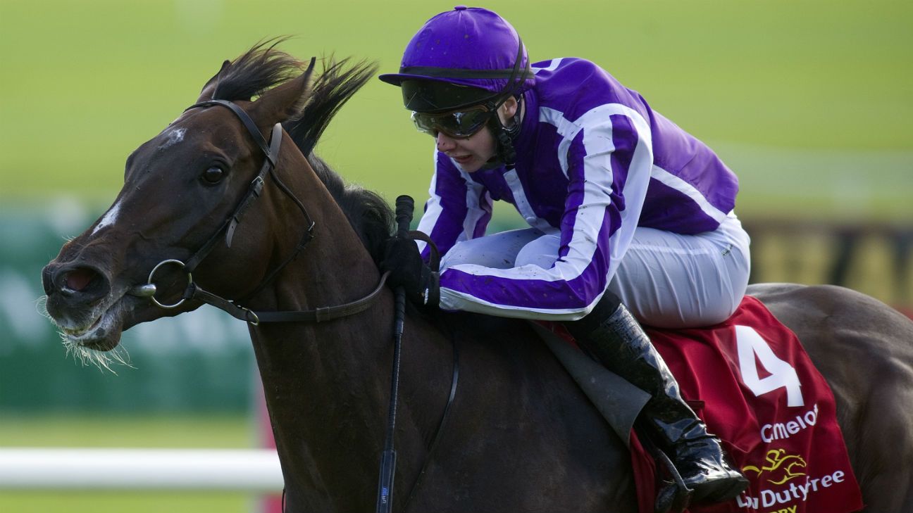 Ask Steven Horse Racing How many horses have won both the English and