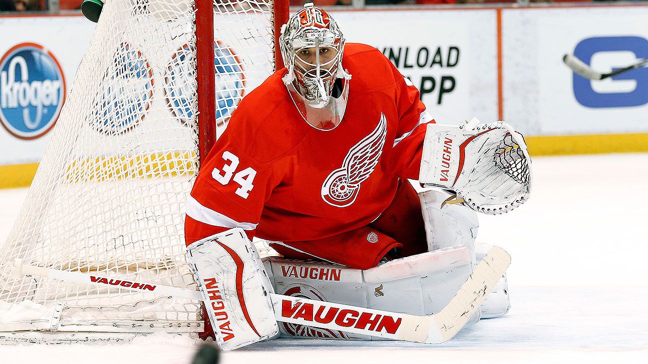 Hurricanes sign goaltender Petr Mrazek