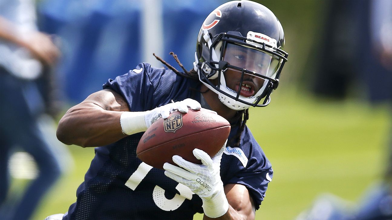 Report: Bears WR White may miss six games 