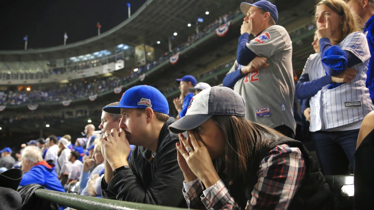 White Sox Fans Are Smarter Than Cubs Fans: Study