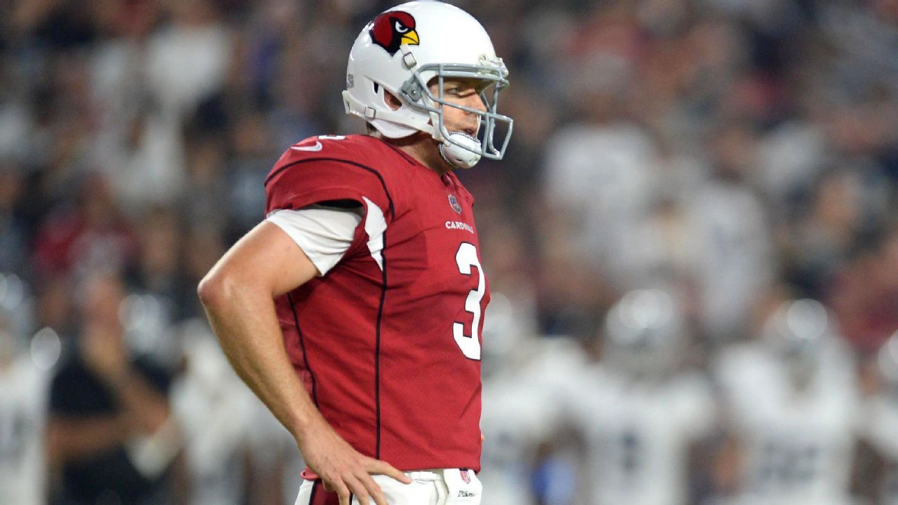 Arizona Cardinals can win a Super Bowl with Carson Palmer, but not because  of Carson Palmer - Revenge of the Birds