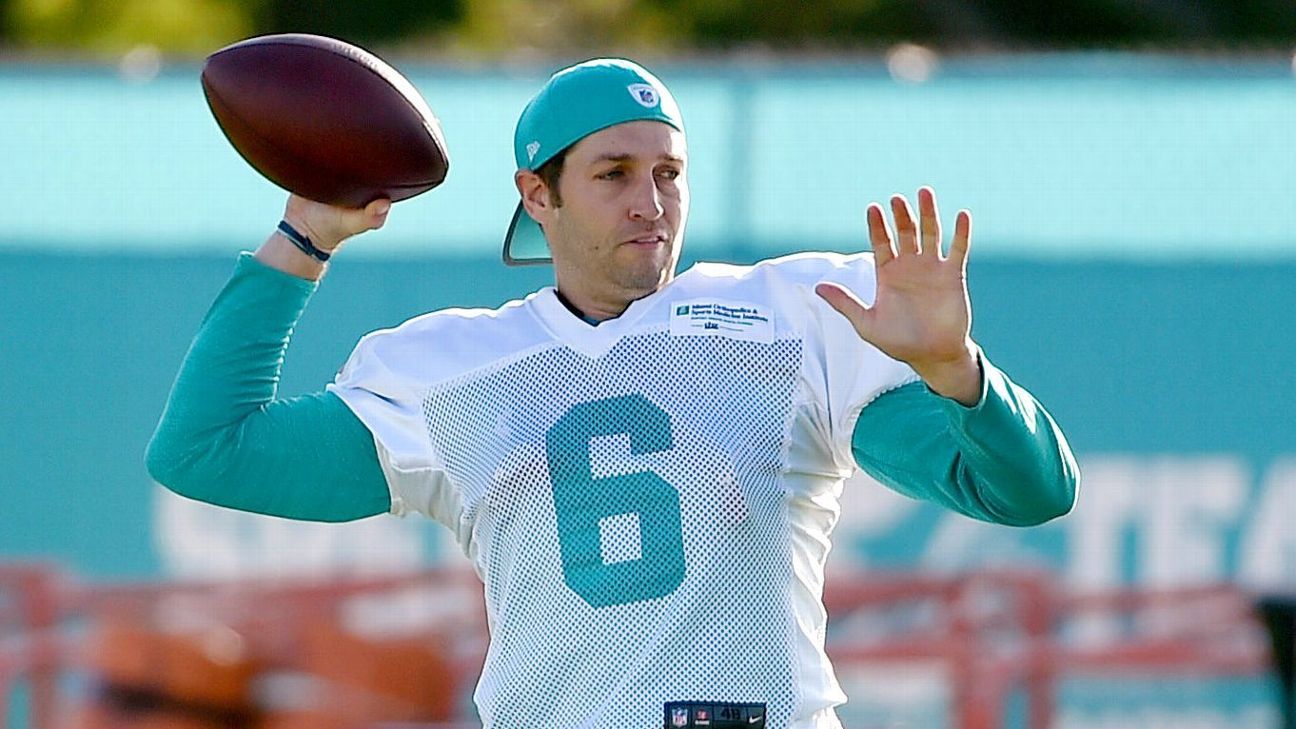 Jay Cutler - Miami Dolphins Quarterback - ESPN