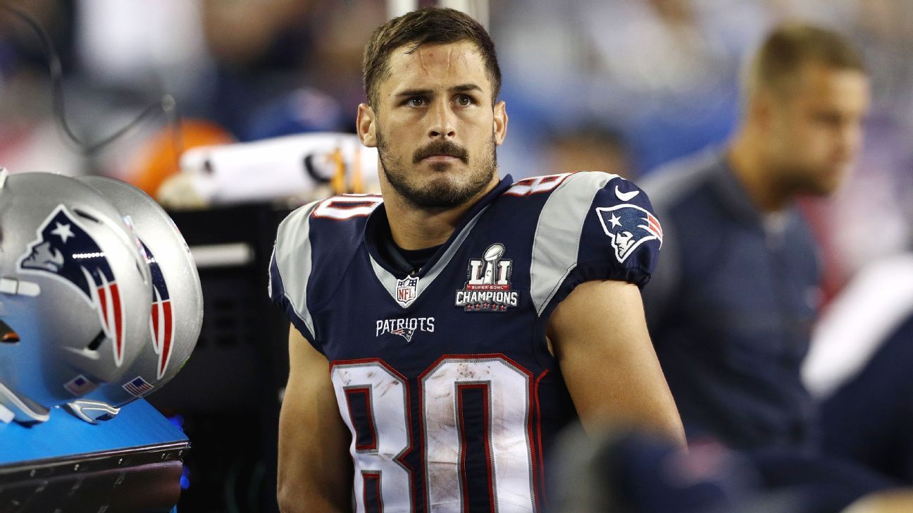 New England Patriots roster breakdown: #80 WR Danny Amendola