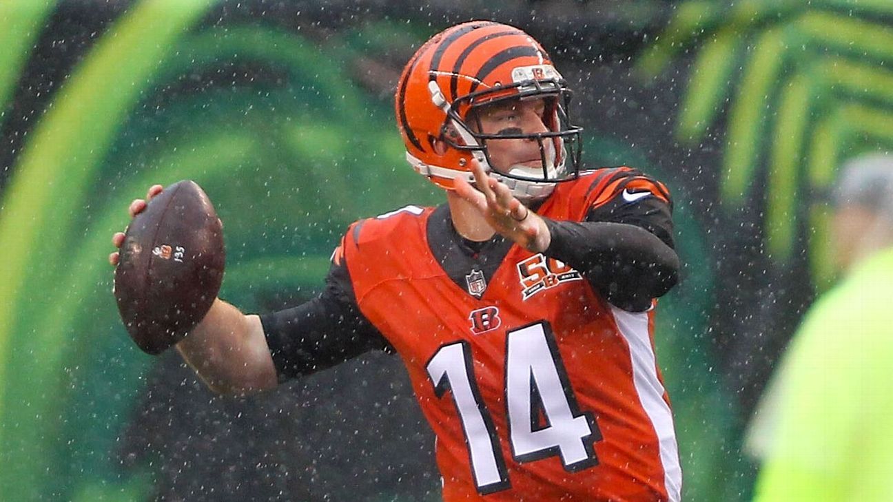 Andy Dalton's foundation received more than $25,000 from Bengals