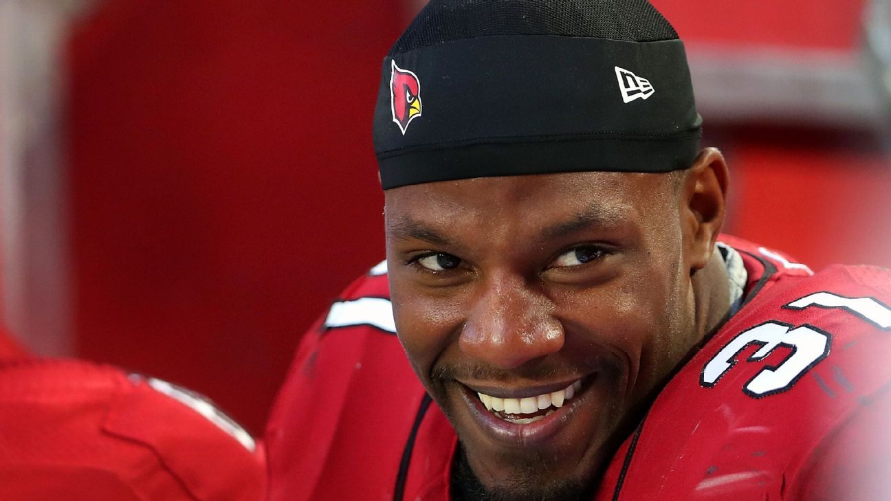 Arizona Cardinals RB David Johnson reports to training camp 