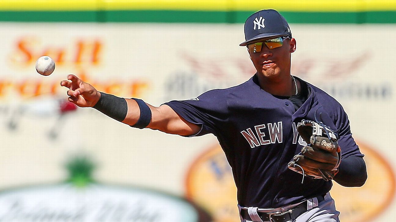 Yankees top prospect Gleyber Torres doubles twice, scores twice in