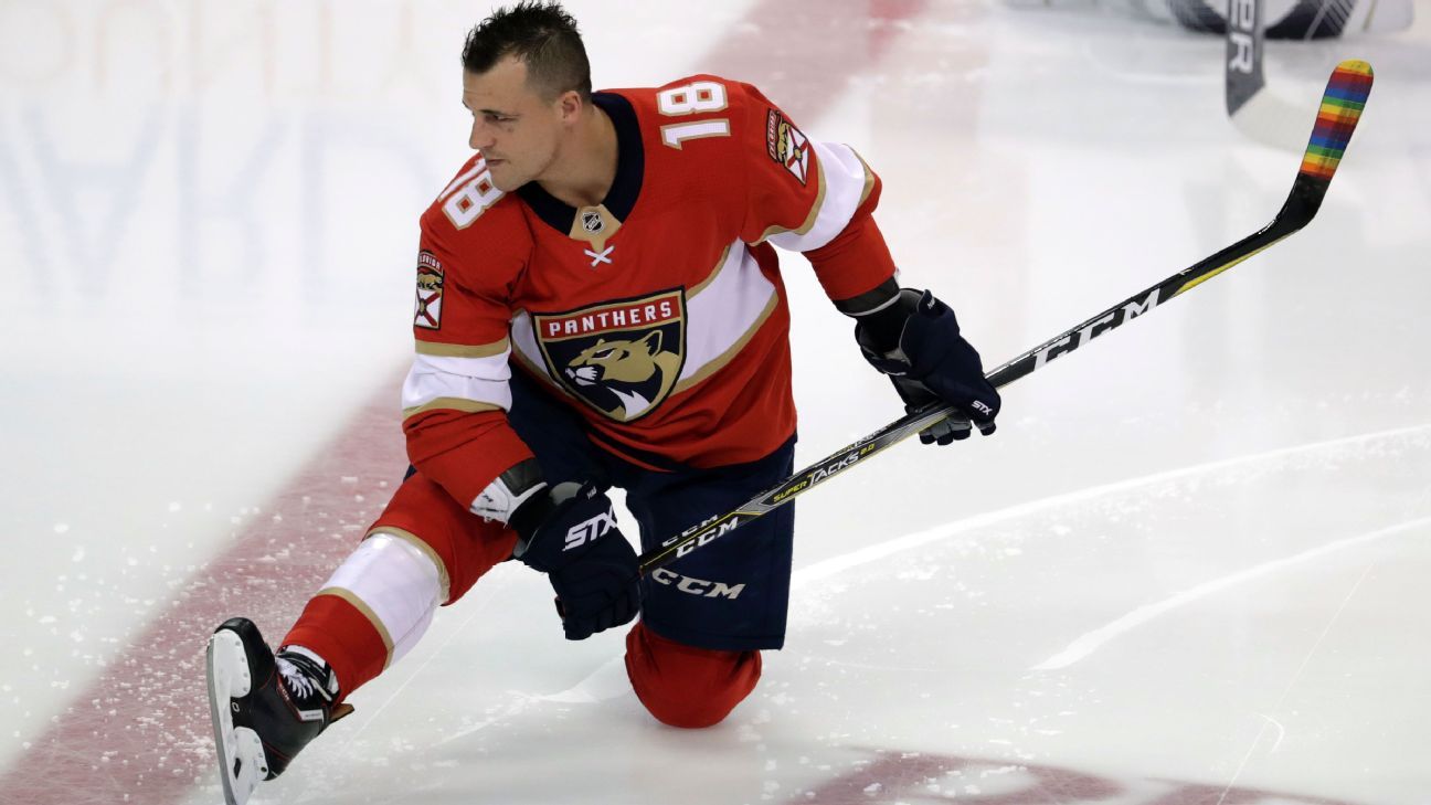 Florida Panthers' Micheal Haley enters NHL/NHLPA assistance program