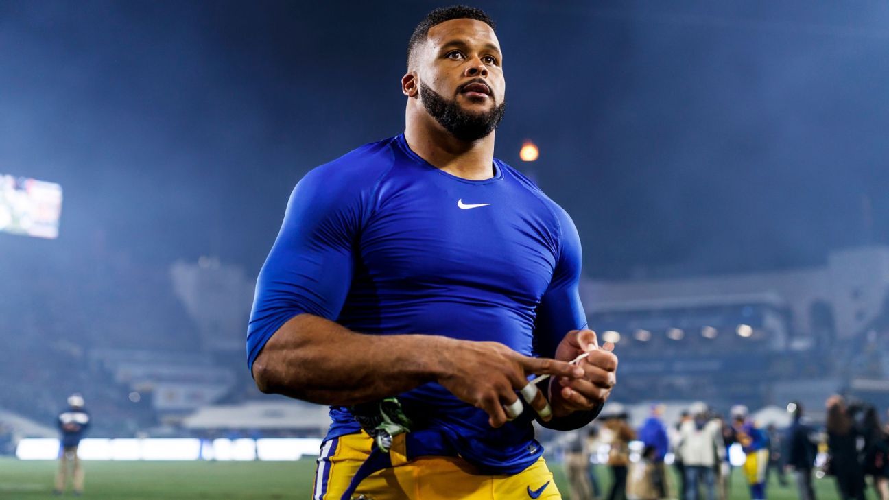 Aaron Donald Super Bowl LIII Media Jersey