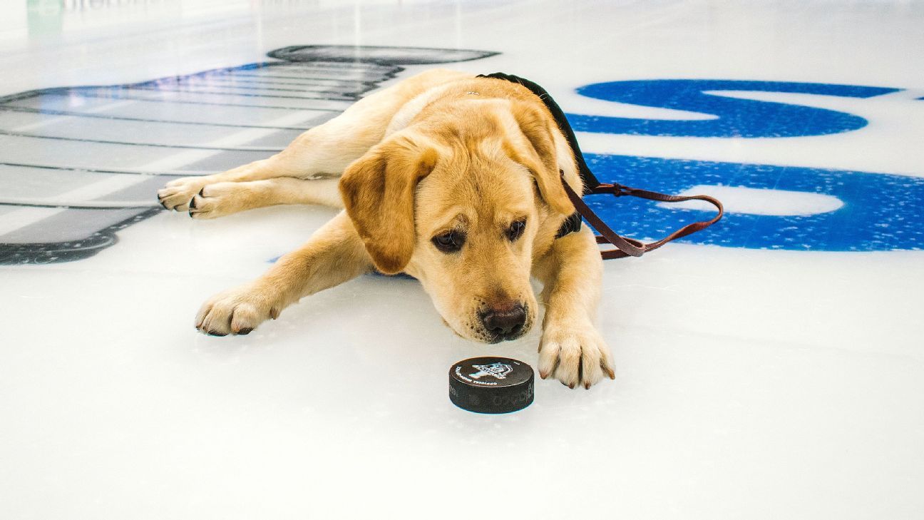 St. Louis Blues' Barclay named a Purina Pet Parade grand marshal