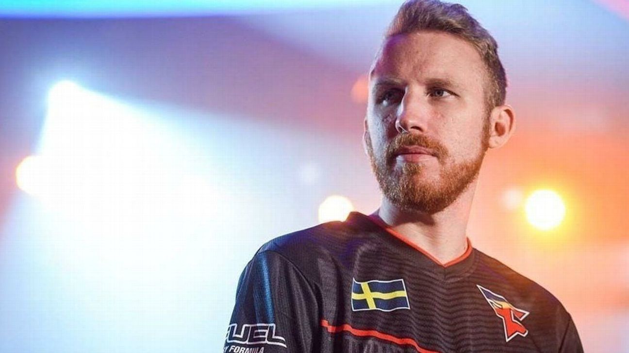 Olofmeister steam profile фото 77