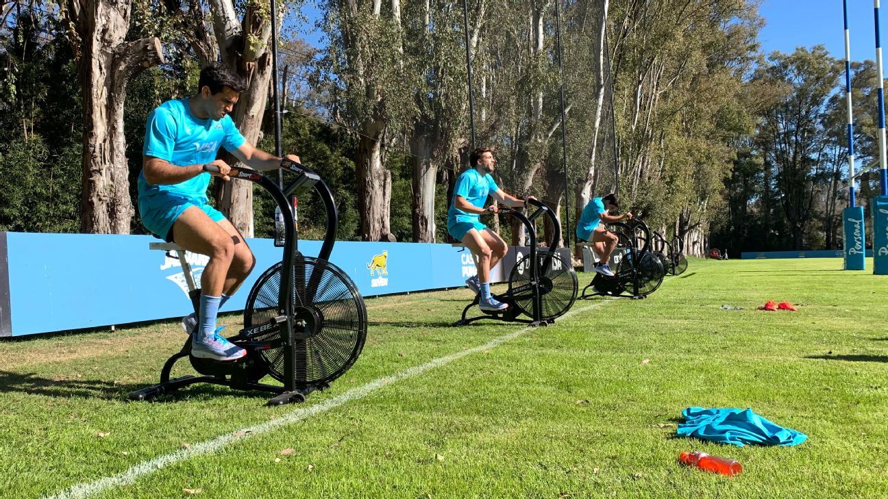 Con el Rugby Championship confirmado, Los Pumas vuelven a los entrenamientos  - ESPN
