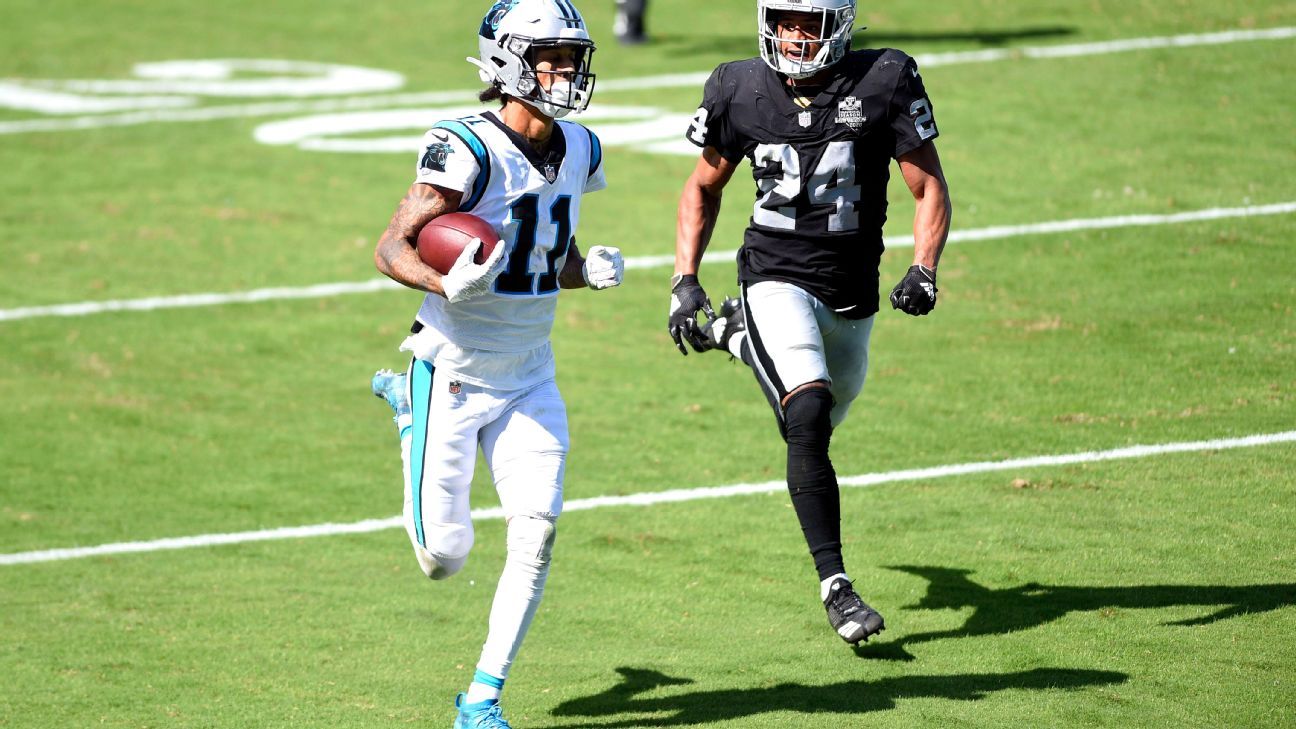 Carolina Panthers mascot Sir Purr during an NFL football game