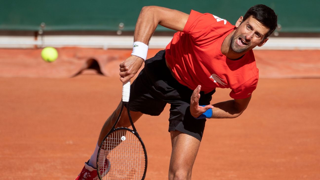 29+ Novak Djokovic French Open Winners Gif