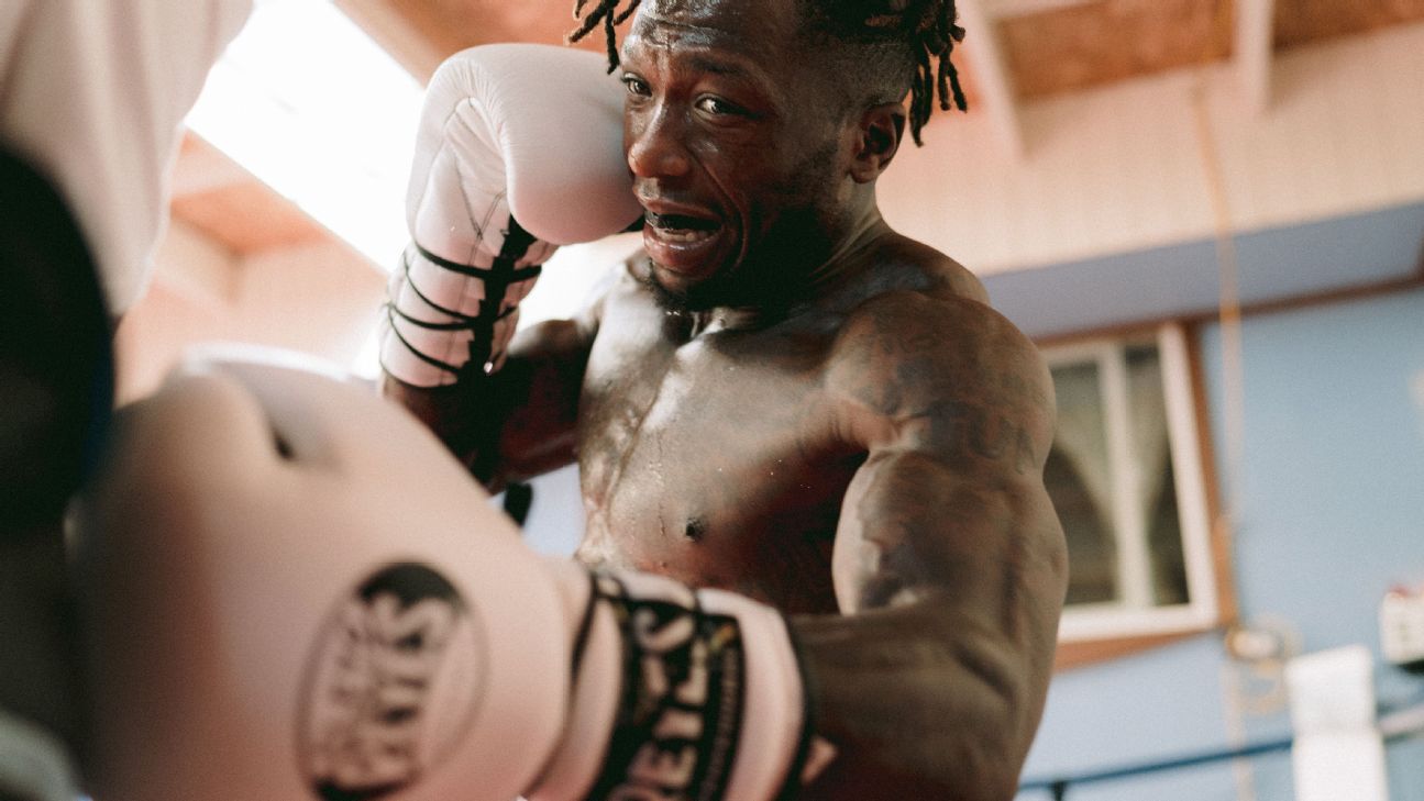 Nate Robinson, Boxer Page