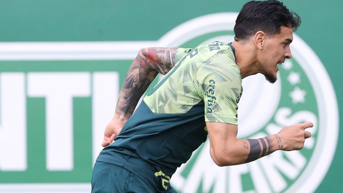 Palmeiras não tentará efeito suspensivo, e Gustavo Gómez ...