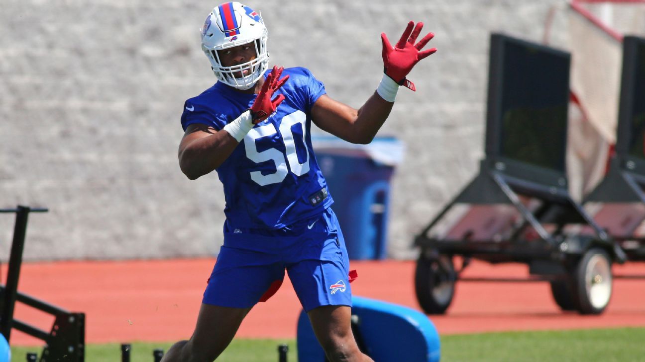 Buffalo Bills� rookies will make an impact, but don�t