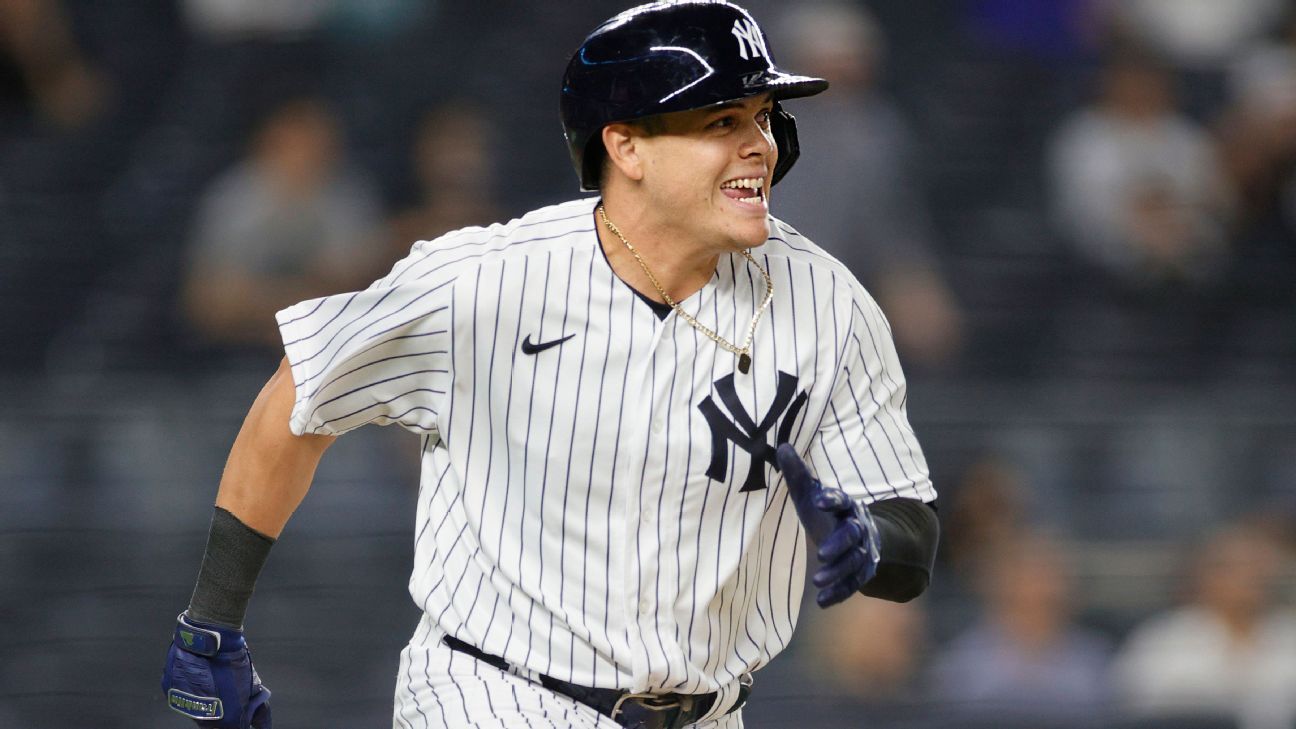 Baltimore, United States Of America. 07th Apr, 2019. New York Yankees third  baseman Gio Urshela (29) looks back at the dugout after being hit by a  pitch in the ninth inning against