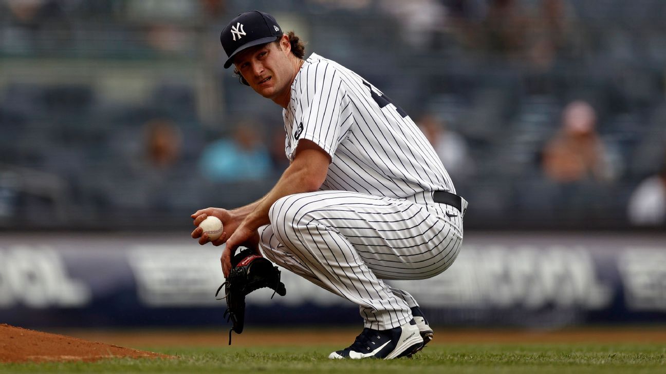 Spider Tack, goo cops and an open secret Answering 20 questions about