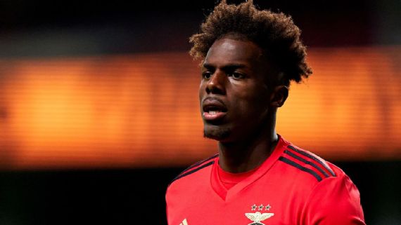 Vfxkzkjak819lm Vfxkzkjak819lm