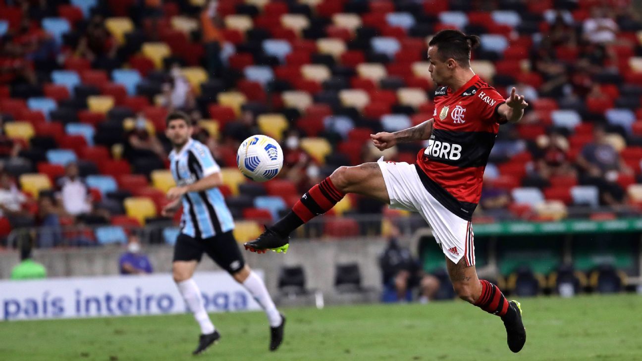 Flamengo V Gremio Brasileirao Series A 2015 Photos and Premium High Res  Pictures