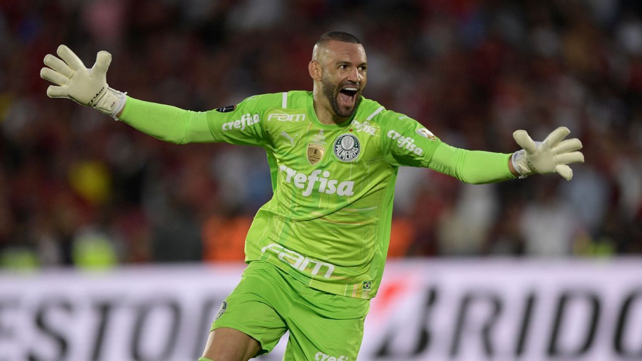 Weverton lamenta eliminação do Palmeiras na Libertadores: Pênalti é  detalhe, palmeiras