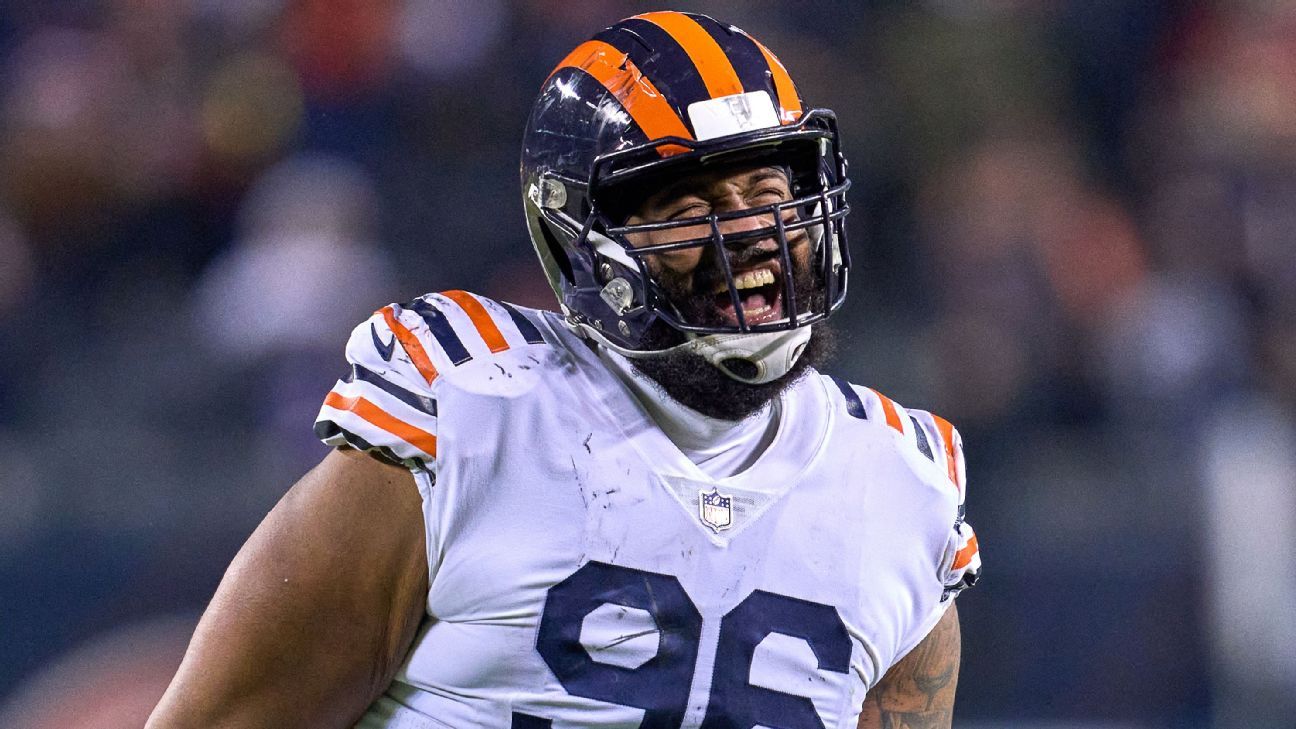 Packers Urged to Sign Former Bears Defender Akiem Hicks