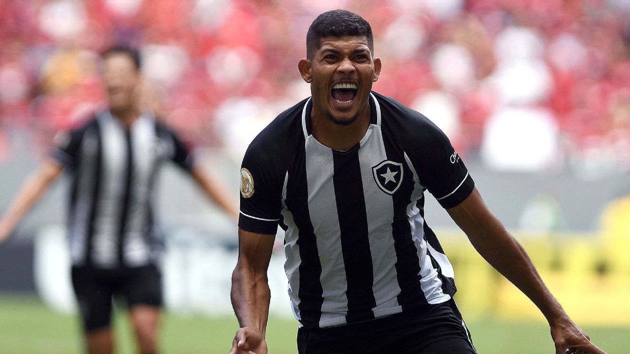 Botafogo vence o Flamengo no Mané e aumenta instabilidade no rival