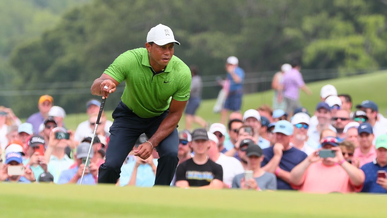 There are a lot of different ways to feel while watching Tiger Woods trudge his way around a golf course