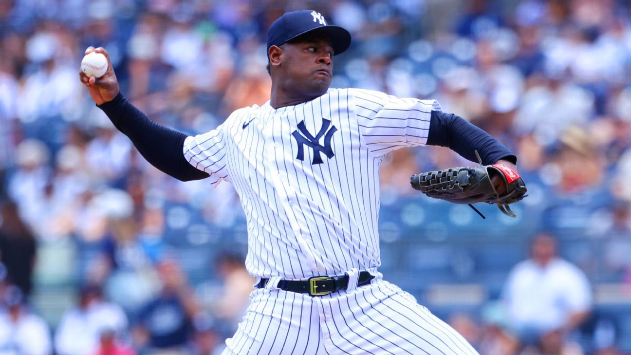 Luis Severino White New York Yankees Autographed Game-Used #40 Pinstripe  Jersey vs. Toronto Blue Jays on May 10 2022 with GU 5-10-22 VS. TOR  Inscription