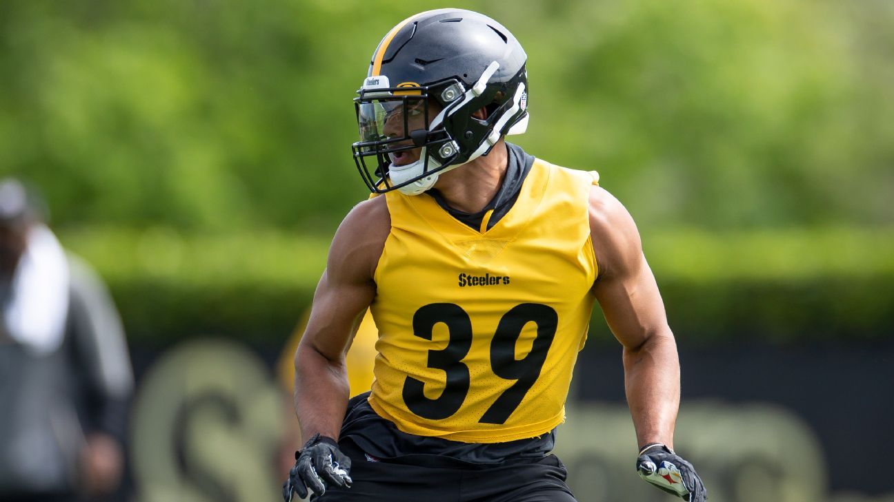 PITTSBURGH, PA - DECEMBER 24: Pittsburgh Steelers safety Minkah Fitzpatrick  (39) is announced during the national football league game between the Las  Vegas Raiders and the Pittsburgh Steelers on December 24, 2022