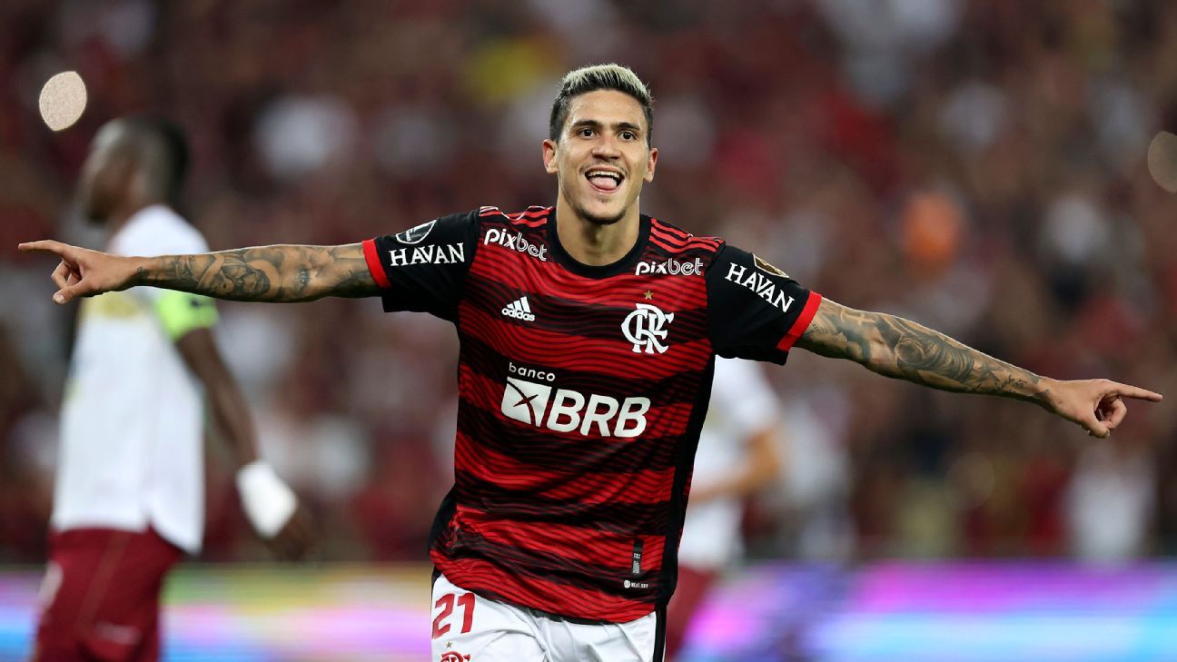 Flamengo striker Pedro could be Brazil's World Cup bolter - ESPN