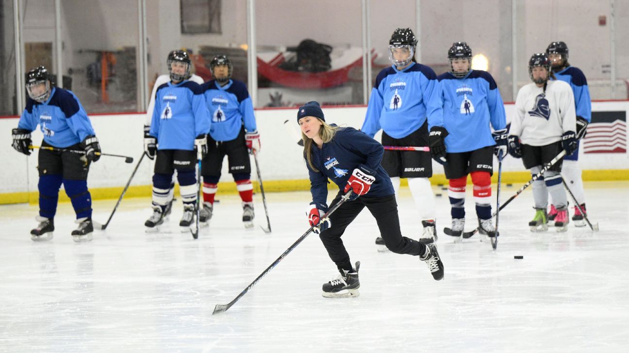 Pro women's hockey association unveils 5-city regional plan