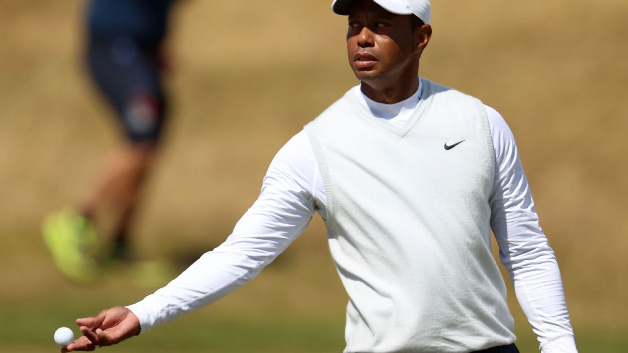 Tiger Woods turned down offer in 'neighborhood' of $700-$800 million when approa..