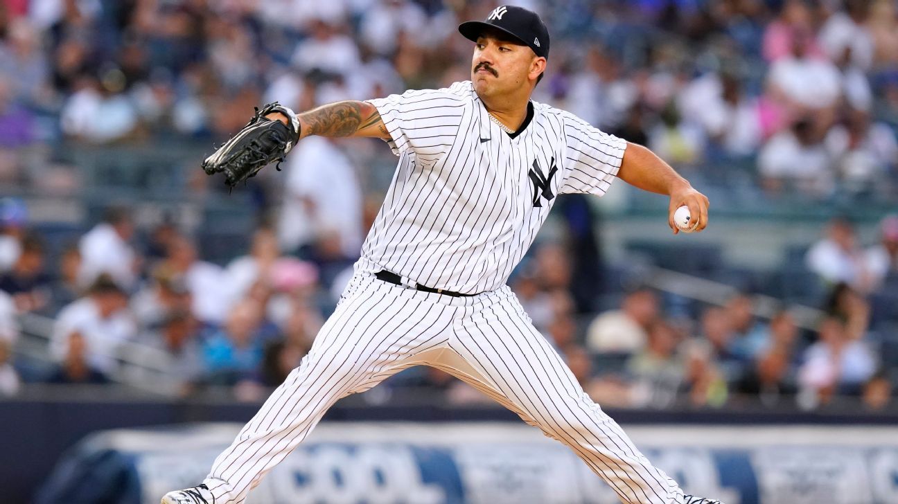 Yankees' Jose Trevino suffers injury