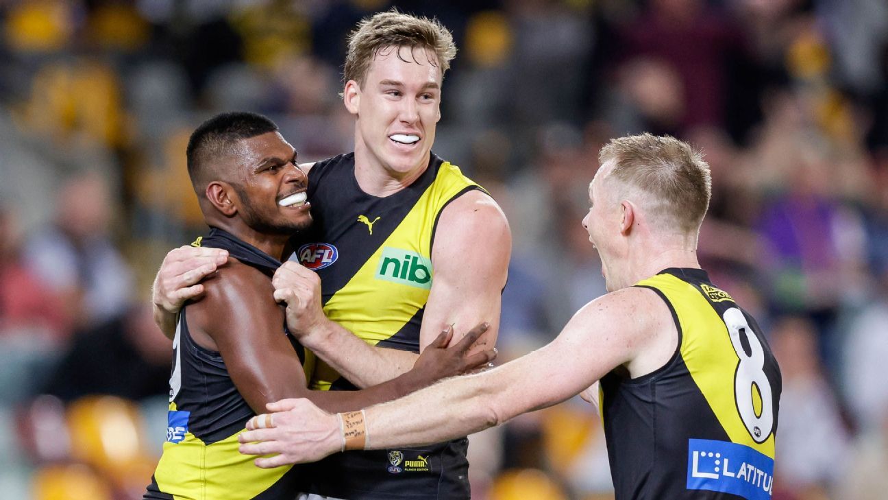 AFL finals Richmond Tigers coach Damien Hardwick slams goal review