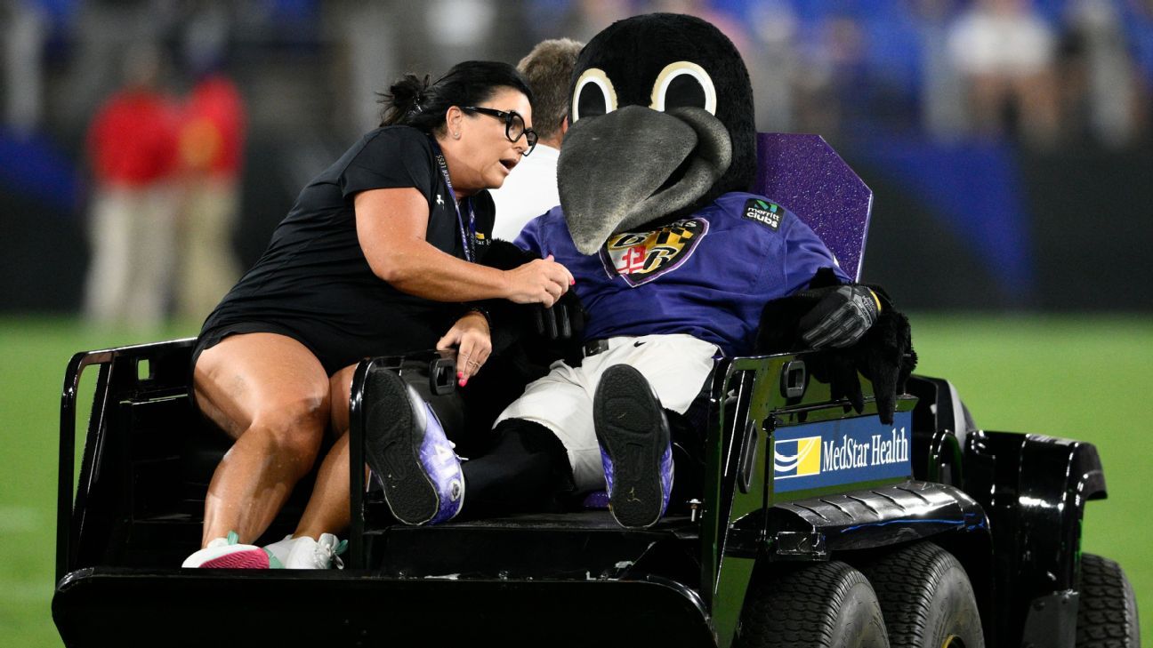 Baltimore Ravens lose mascot to season-ending drumstick