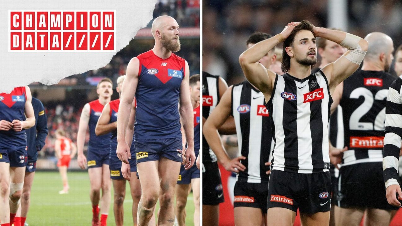 champion data afl 2019