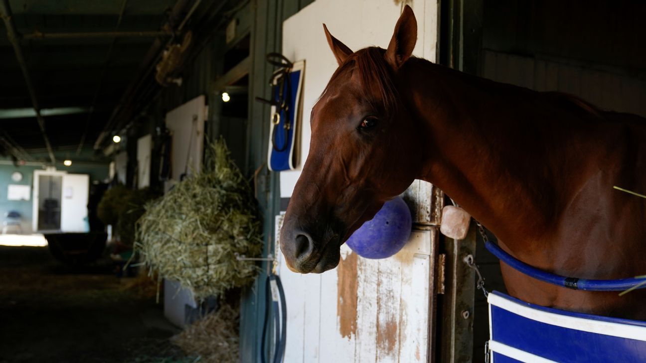 Baffert-trained Taiba wins Pennsylvania Derby