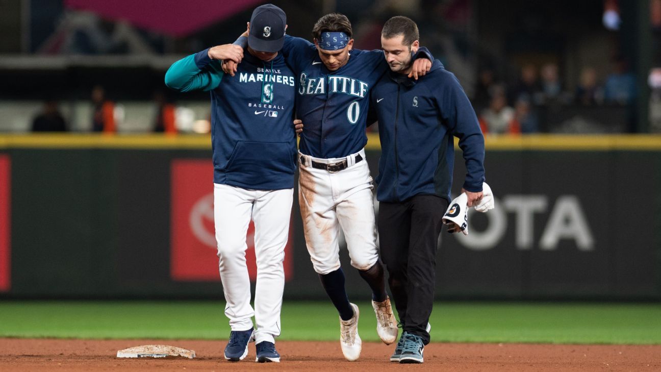 Mariners utilityman Haggerty hurt, out for start of playoffs