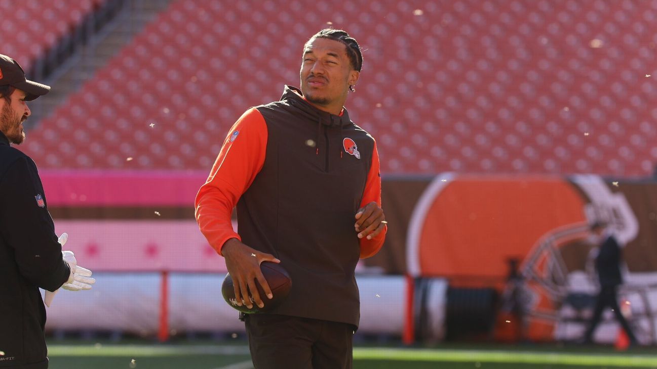 Midges swarm Browns field, stands during game with Chargers