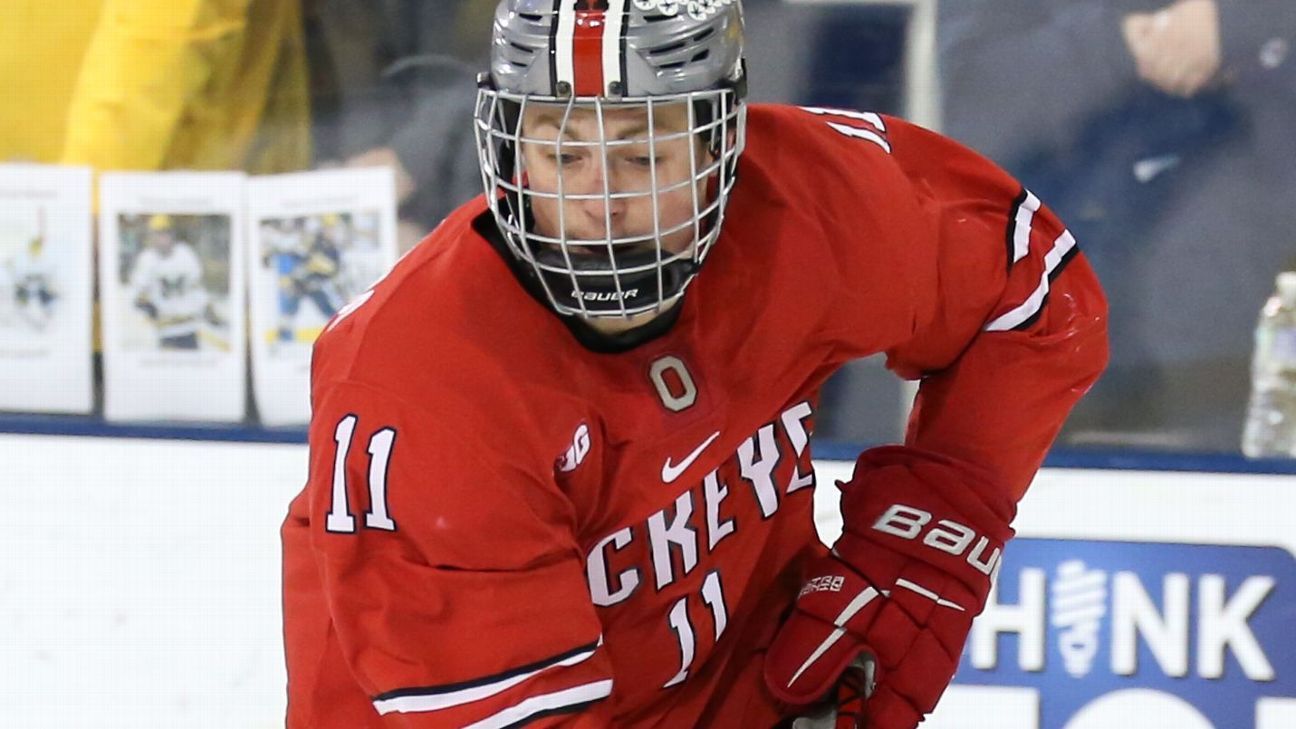 Ohio State suspends hockey player for racial slurs in game vs. MSU