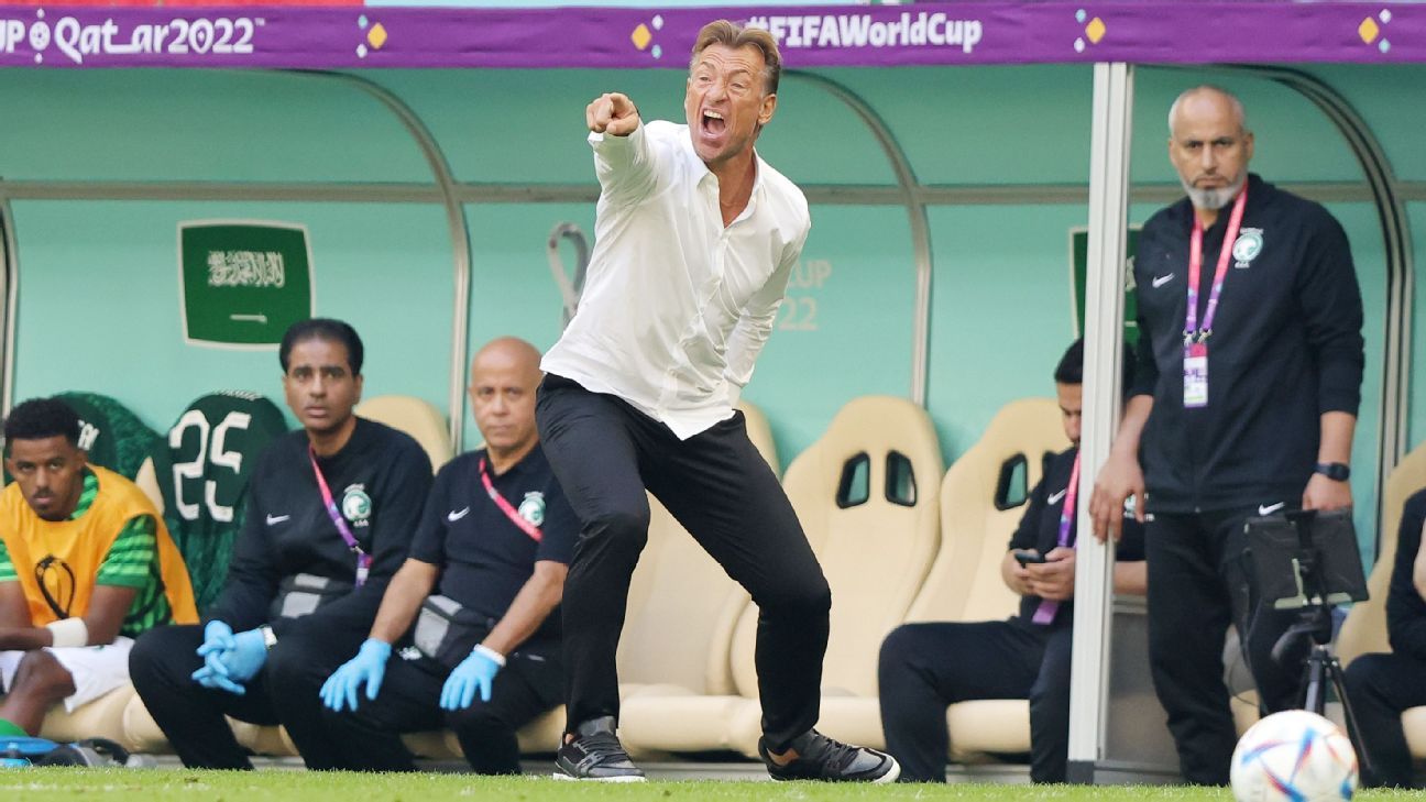 Hervé Renard Set to Coach France at Women's World Cup - The New