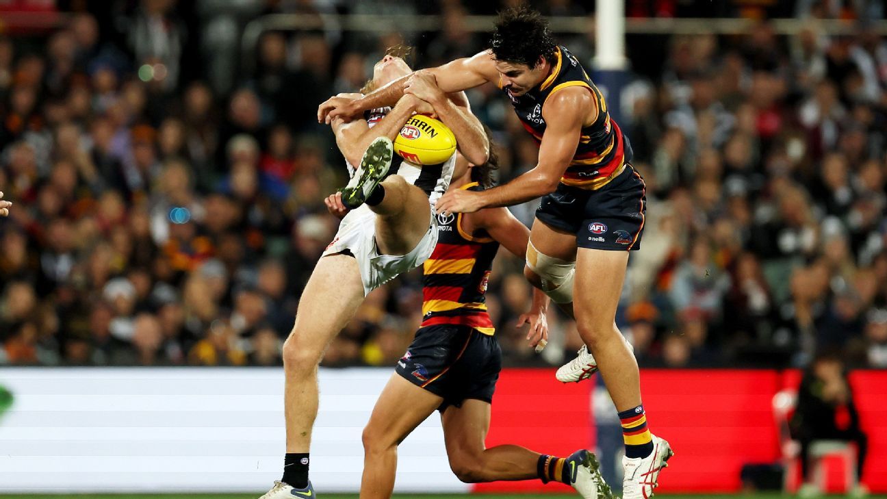 AFL admits umpires got Nathan Murphy noncall wrong in Collingwood